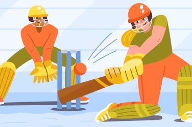 Castle Lite T20 Franchise 2024 Overview